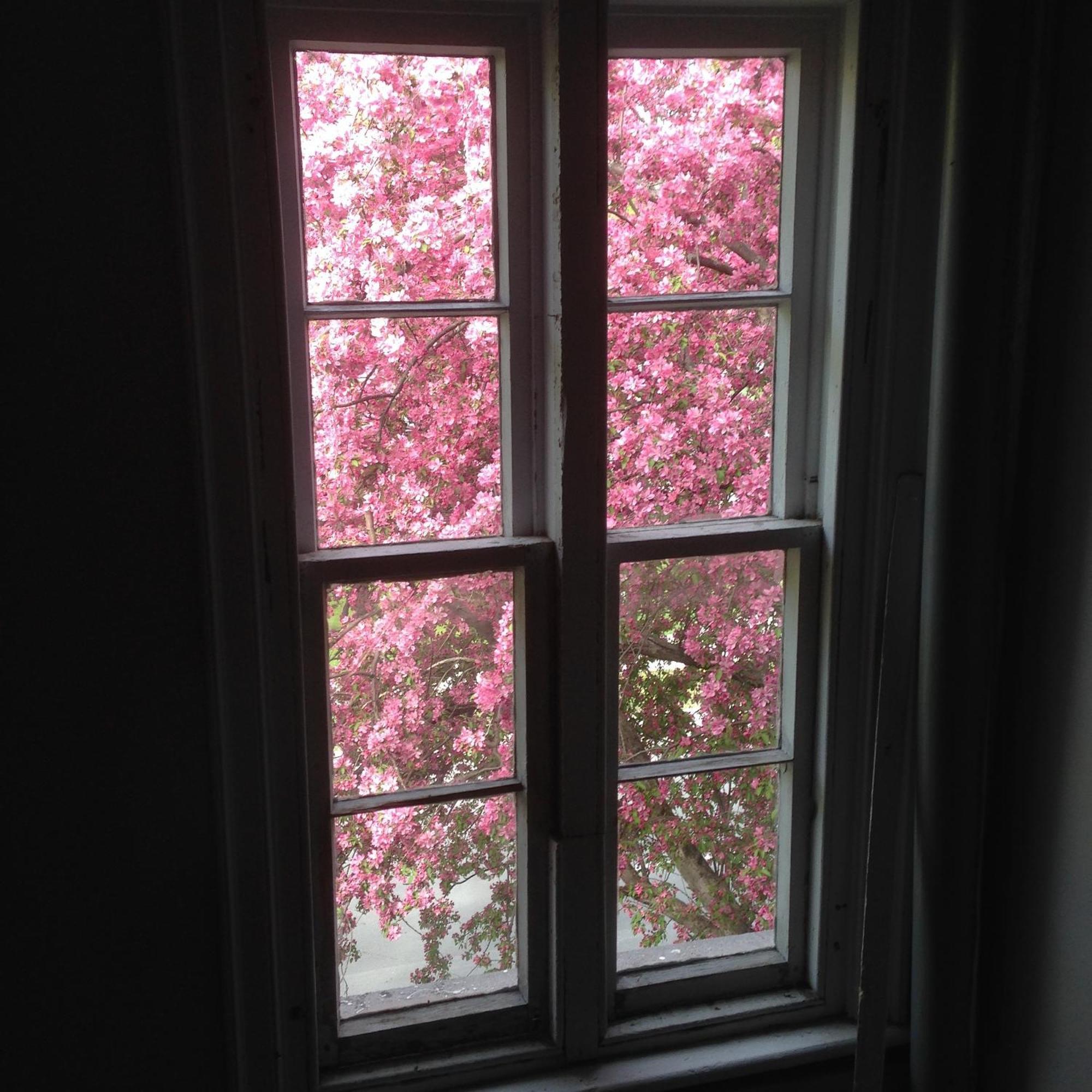 Auberge Chesley'S Inn Cornwall Bagian luar foto